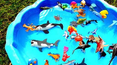 Box Of Toys Learn Sea Animal Names With Shark Ocean Creature | Beach Toys For Children - YouTube