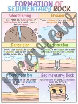 Formation of Sedimentary Rock Poster/Anchor Chart (5.7A) by Miso's Classroom