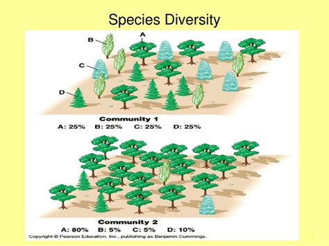 PPT - Species Abundance and Diversity PowerPoint Presentation - ID:138148