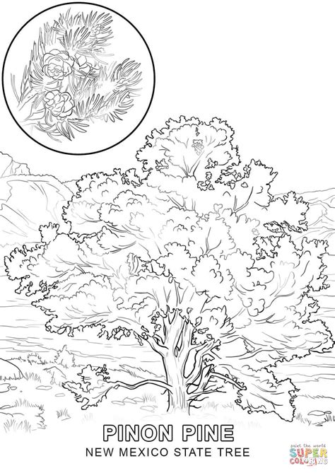 New Mexico State Tree coloring page | Free Printable Coloring Pages