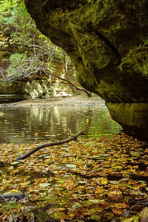 Starved Rock State Park Campground Camping | The Dyrt