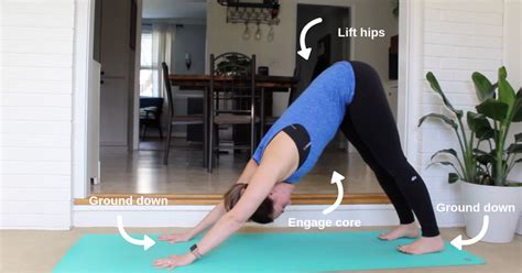 How To: Downward-Facing Dog — the flow yogi