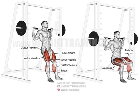 Barbell Machine Squat Cheapest Offers | www.pinnaxis.com