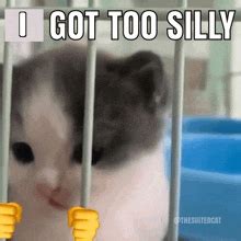 Cat Silly-GIFs | Tenor