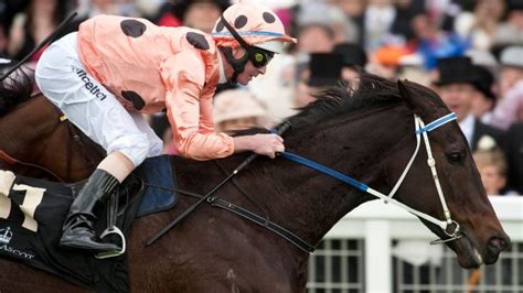 BLACK CAVIAR - Racehorse Profile, Facts & Stats