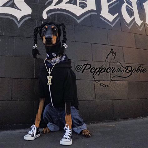 Pepper the Dobie's 2015 Halloween Dog Costume as Snoop Dogg from the LBC. | Doberman, Dog ...