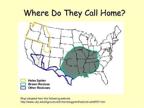 Wolf Spider Habitat Map