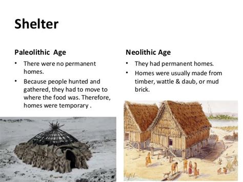 Paleolithic Houses