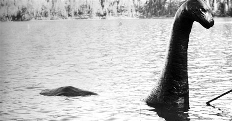 Photo Described as 'Most Exciting Ever' Sighting of Loch Ness Monster Shows Massive 'Eel-Like ...