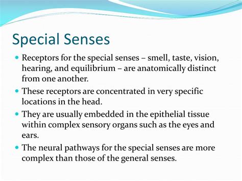 PPT - Special Senses PowerPoint Presentation, free download - ID:1702868