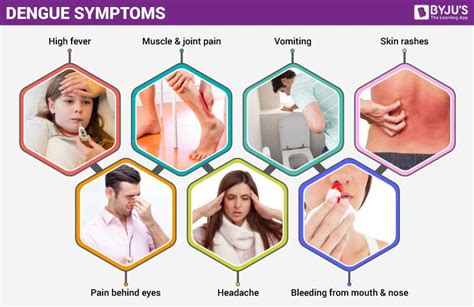 Dengue - Causes, Symptoms, Treatment and its Preventions