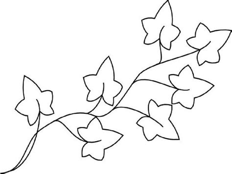 Ivy Coloring Pages