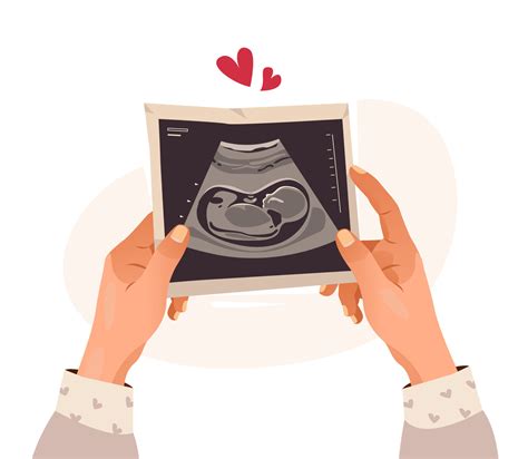 Hands holding a photo of a baby on ultrasound scan in the womb. Ultrasound of the child ...