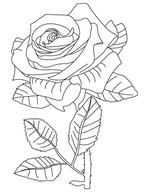 Rainbow Flowers Coloring Pages Black And White - Tripafethna