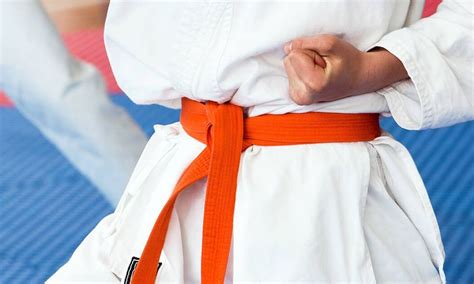 Kempo Karate Orange Belt | Small Online Class for Ages 5-10 | Outschool