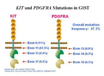 Mutation Analysis: Kit and PDGFRA | GIST Support International