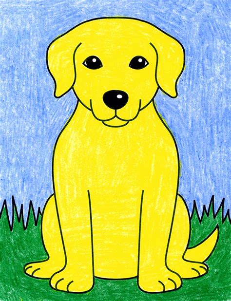 Labrador Retriever Puppy Drawing