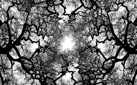 Abstract Tree Wallpapers - Top Free Abstract Tree Backgrounds - WallpaperAccess