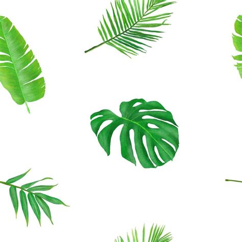 Tropical leaves seamless pattern 25765517 Vector Art at Vecteezy