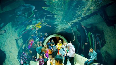 Dallas World Aquarium - Dallas Fort Worth Guide