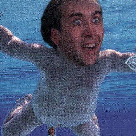 33 best ideas about Nicolas Cage face mashups! on Pinterest | Face swaps, Nicolas cage and Animals