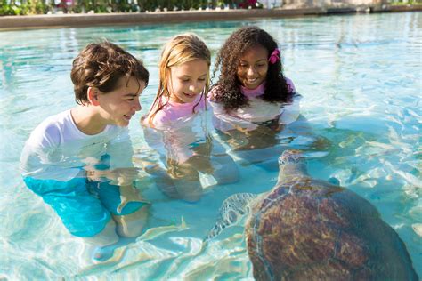 Atlantis vs. Baha Mar: Which Is Best For a Family Vacation in the Bahamas? - The Family Vacation ...