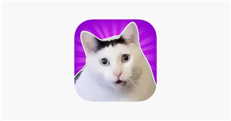 ‎Huh Cat on the App Store