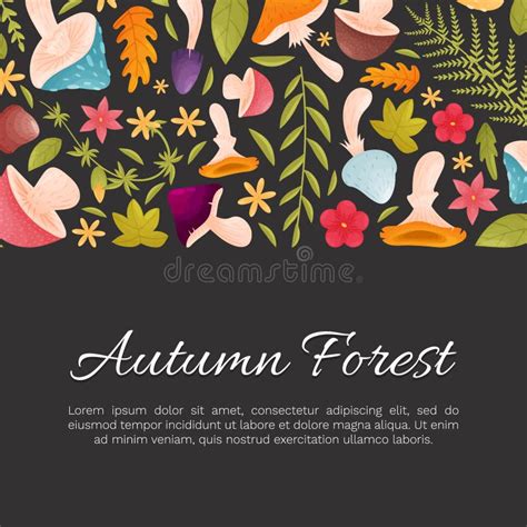 Forest Decor Banner Design with Mushroom and Leaf Vector Template Stock Illustration ...