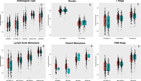 Association of the expression of key long noncoding RNAs (lncRNAs) with ...