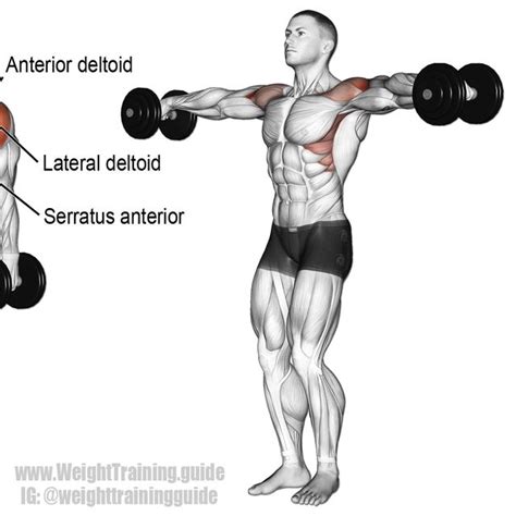 Front & Lateral Shoulder Raises by Noel Fernandes - Exercise How-to - Skimble