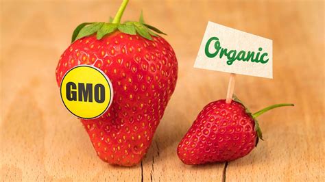 Organic vs GMO: How Do These Labels Reflect the Quality of Food | Riviera Produce