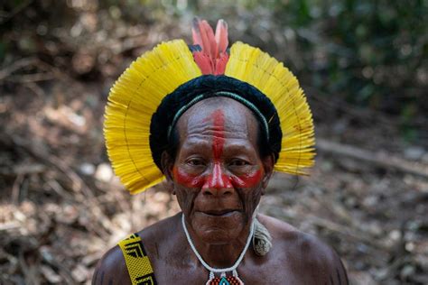 Warring Amazon tribes unite to fight Brazil president's plans to devastate rainforests for cash ...