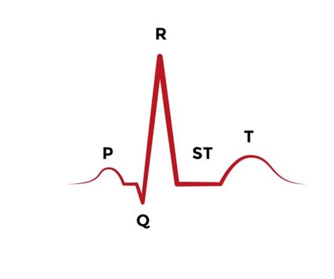 ECG Basics Online Training for Beginners