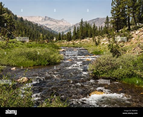 lee vining creek from saddlebag lake, lee vining ca Stock Photo - Alamy