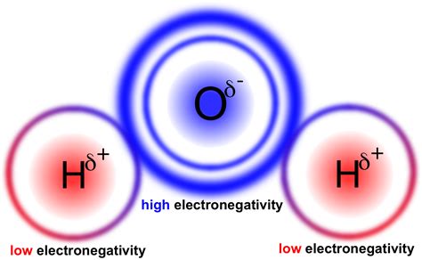 Atoms & Molecules: e-chapter — The Biology Primer