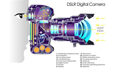 This Cutaway Diagram Shows The Inside Of A DSLR | ePHOTOzine