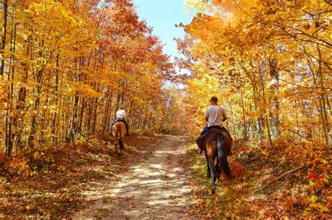 The Best Fall Weekend Getaways | Reader's Digest