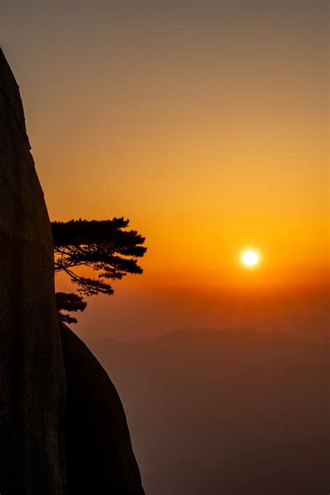 Sunrise Huangshan Pine Tree - Free photo on Pixabay - Pixabay