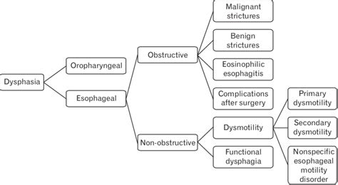 Classification of esophageal dysphagia based on potential underlying... | Download Scientific ...