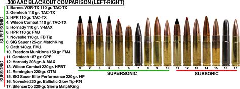 Ultimate .300 Blackout Ammo Test - Shooting Times