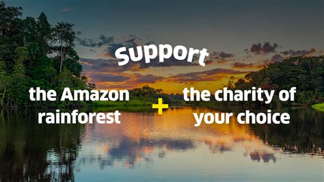 Help Protect and Restore the Amazon Rainforest