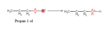 How is 1-propoxypropane synthesised from propan-1-ol? Write | Quizlet