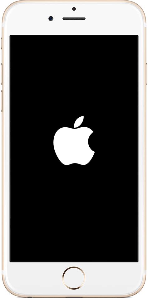 Iphone 5s Shows Apple Logo Then Black Screen