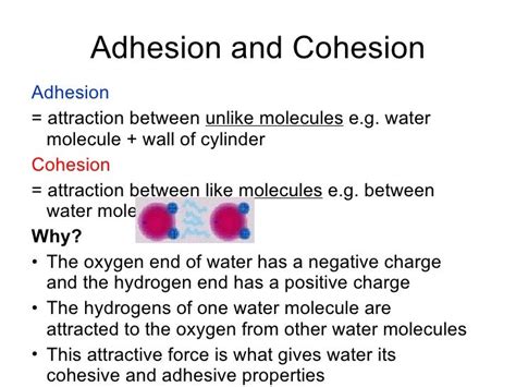 mechanical engineering: Cohesion and Adhesion