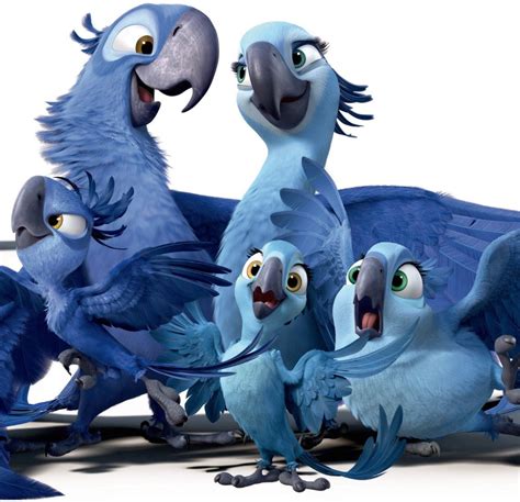 Image - Spix Macaw Family.png | Rio Wiki | Fandom powered by Wikia