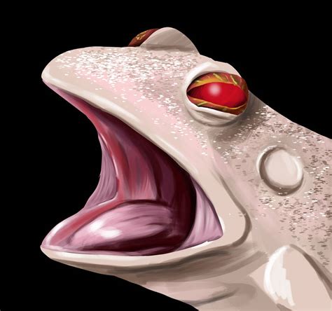 Albino Frog by Torathor on DeviantArt