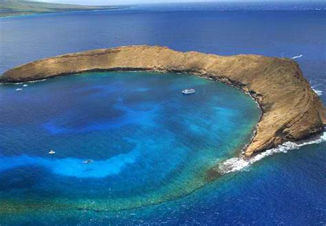 Top Snorkeling Spots In Hawaii | Only In Hawaii