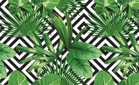 20+ Tropical Palm Leaves Wallpaper