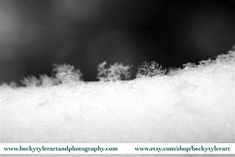 Snowflake Macro Photography Fine Art Photo Print | Etsy