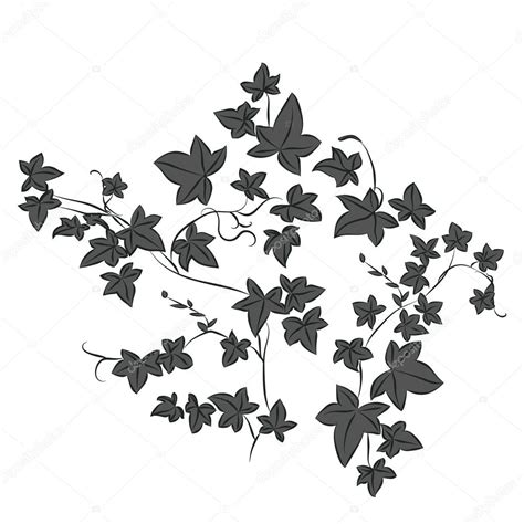 Ivy Leaf Drawing at GetDrawings | Free download